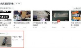 网易编剧爆料视频大全,揭秘视频大全背后的精彩故事