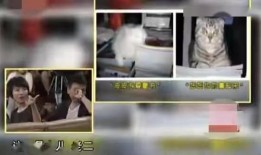 主播康辉爆料视频大全,揭秘幕后故事与精彩瞬间