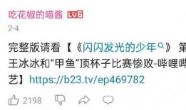 网友爆料王冰冰视频大全,网友爆料揭秘
