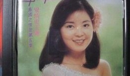 爱情更美丽在线观看,浪漫邂逅，甜蜜绽放的都市爱情故事