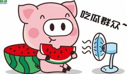 娱乐吃瓜英文怎么说的,From Entertainment Gossips to Buzz: A Comprehensive Overview