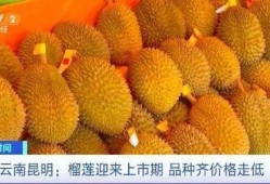 邹平榴莲价格最新爆料,揭秘市场动态与消费者关注焦点