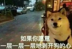 大爆料真实故事视频播放,真实故事视频背后的震撼真相