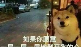 大爆料真实故事视频播放,真实故事视频背后的震撼真相