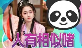 娱乐圈爆料30个瓜,揭秘明星背后的秘密与真相