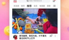 小宇宙芒果爆料视频下载,揭秘热门话题背后的真相