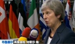 欧盟官员爆料新闻视频大全,揭秘新闻视频大全背后的真相