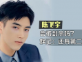陈飞宇八卦爆料最近新闻,揭秘明星背后的故事与争议
