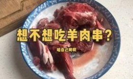 和平精英爆料大盘鸡视频,揭秘游戏内美食新玩法