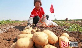 乡6全集在线观看土豆,重温乡村情怀，感受岁月流转