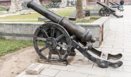 大炮真实爆料图片视频大全,震撼图片与视频大盘点