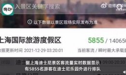 网红迪士尼最新爆料,网红揭秘隐藏彩蛋，带你探索梦幻乐园的神秘角落