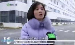 爆料霞霞视频,揭秘背后惊人真相