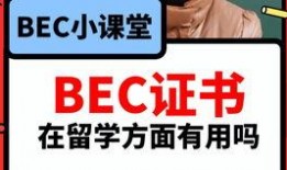 爆料吃瓜视频模板,吃瓜群众曝光惊天内幕，视频爆料引发全网热议！
