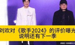 刘欢爆料歌手视频,歌手背后的故事与幕后花絮