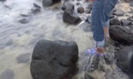 捡鱼赶海视频爆料,海浪中的惊喜瞬间！
