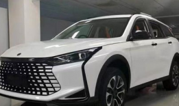 风神最新爆料,最新爆料揭示神秘力量背后的真相