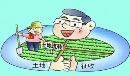 农村纠纷爆料案例最新,邻里矛盾升级，法律调解助力和谐