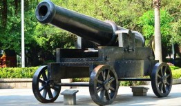 大炮真实爆料图片视频大全,震撼图片与视频大盘点