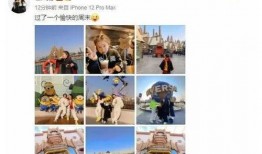 娱乐圈爆料30个瓜,揭秘明星背后的秘密与真相