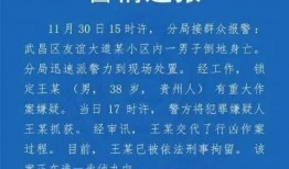 高校教师爆料视频播放网站,真相与争议并存