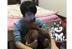 十大爆料主播排行榜最新,揭秘网络红人背后的真实故事