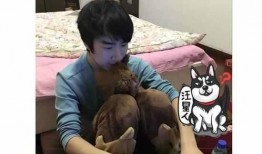 十大爆料主播排行榜最新,揭秘网络红人背后的真实故事