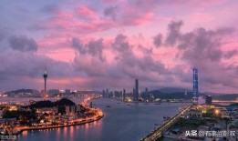 珠海爆料新闻,揭秘城市热点事件背后的真相