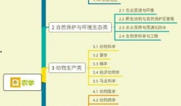 老姜王爆料视频大全集,揭秘娱乐圈幕后真相