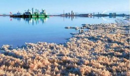 青海盐湖爆料事件视频,揭秘神秘事件背后的真相