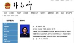 蒋小燕最新爆料新闻报道,揭秘事件背后惊人真相