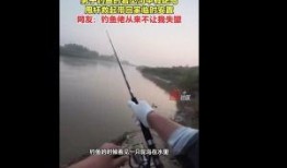 网友爆料钓鱼事件视频,险象环生，揭秘真实水域危机