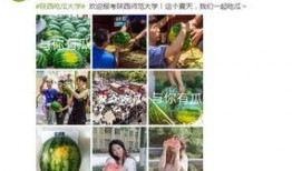 各大高校免费吃瓜网站,揭秘各大校园网站瓜果飘香