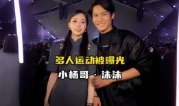 小杨哥巴黎世家爆料视频,小杨哥揭露惊人内幕