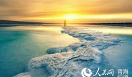 青海盐湖爆料事件视频,揭秘神秘事件背后的真相