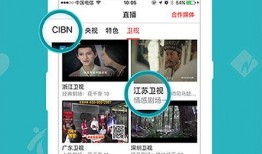 电视在线观看网站,揭秘热门电视在线观看网站