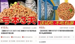 网易三拼猫粮爆料视频,品质猫粮背后的创新与匠心