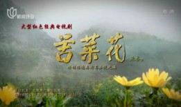 在线观看苦菜花,抗战岁月里的坚韧与抗争