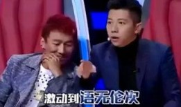 刘欢爆料歌手视频,歌手背后的故事与幕后花絮