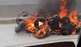 爆料海豚自燃事件视频在线观看,惊悚视频在线揭秘