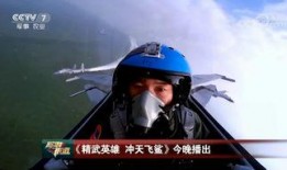 中国飞行员爆料视频大全,中国飞行员爆料视频大全背后的真实故事