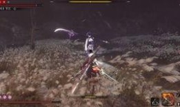 最新爆料雷电将军视频在线观看,揭秘神秘力量与神秘背景