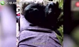 奇闻异事爆料视频,视频爆料背后的惊人真相