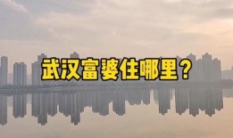 楼市爆料内容大全视频,视频内容大全深度解析