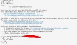 黑客吃瓜在线播放免费观看,免费观看“黑客吃瓜”在线播放，揭秘网络神秘面纱