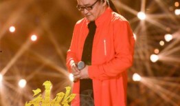 刘欢爆料歌手视频,歌手背后的故事与幕后花絮