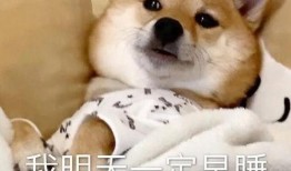 吃瓜八卦大爆料视频大全,吃瓜八卦大爆料视频全集