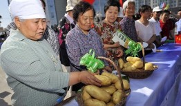 乡6全集在线观看土豆,重温乡村情怀，感受岁月流转