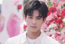 宋威龙养媳妇的爆料视频,爆料视频揭露惊人内幕