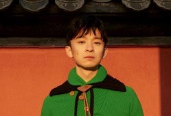 娱乐吃瓜君董子健,娱乐吃瓜界的“瓜王”